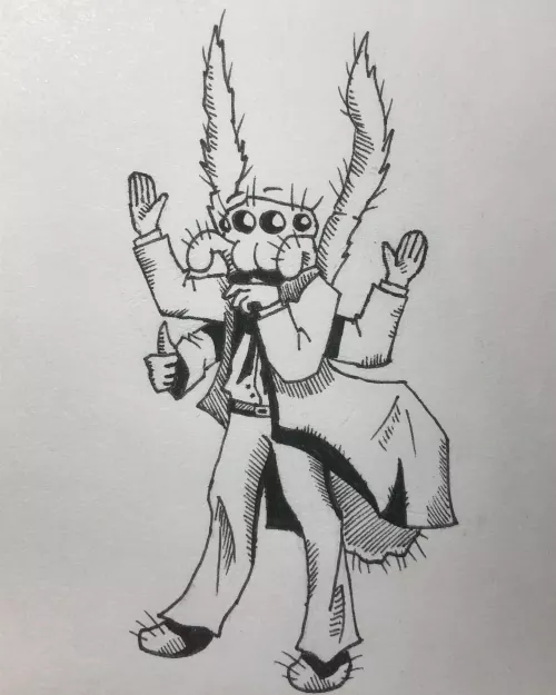 are spiders allowed? (by me)