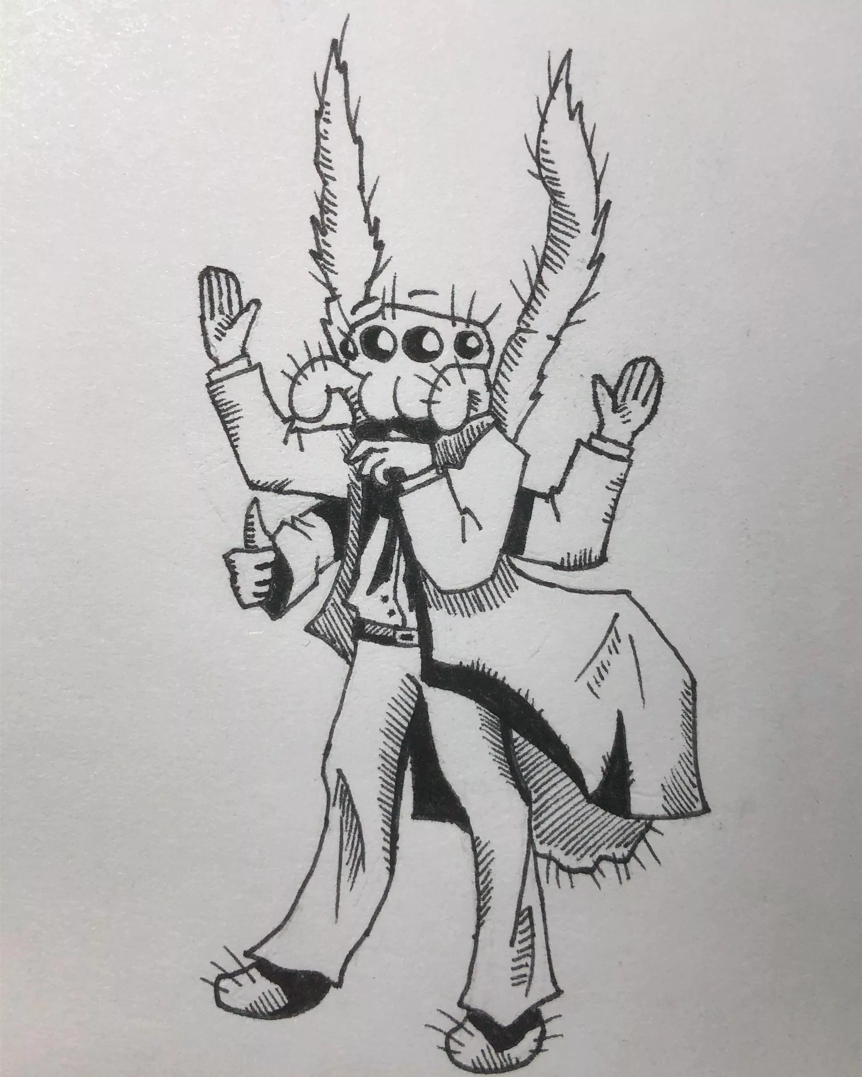 are spiders allowed? (by me)