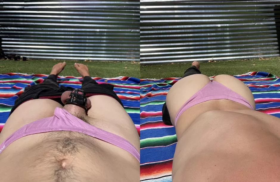 Backyard shenanigans