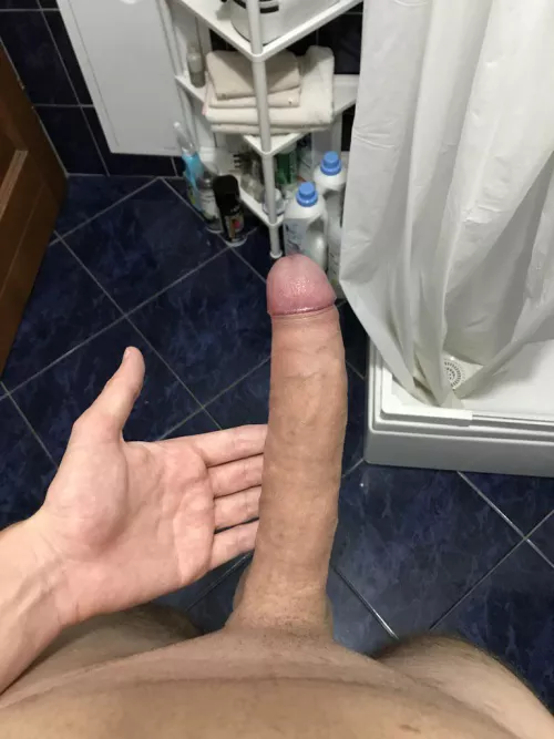 Everyone says I should do porn