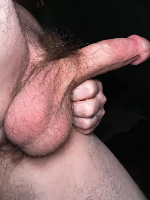 How about hairy taint? 👀