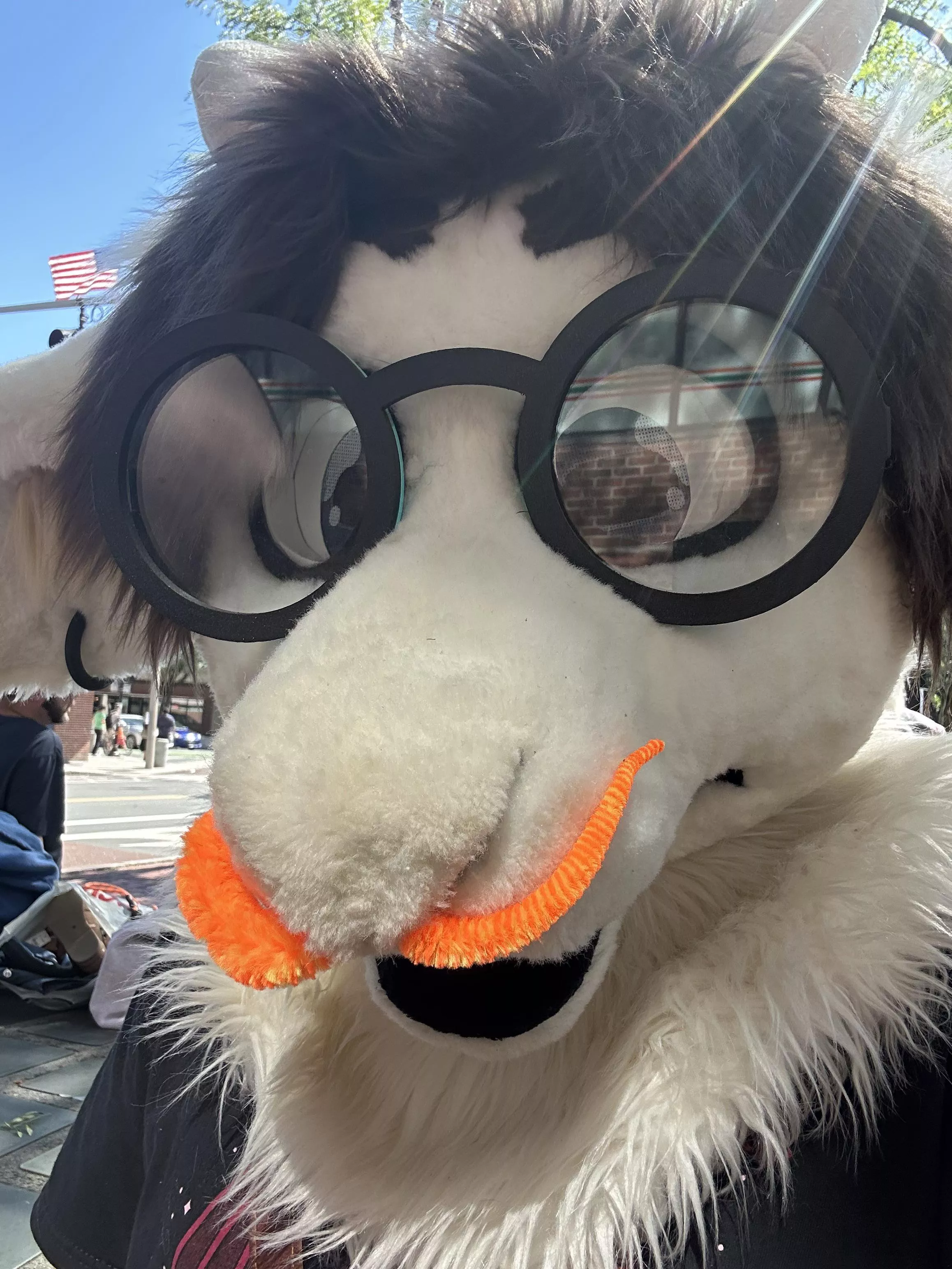 I mustache you a question!