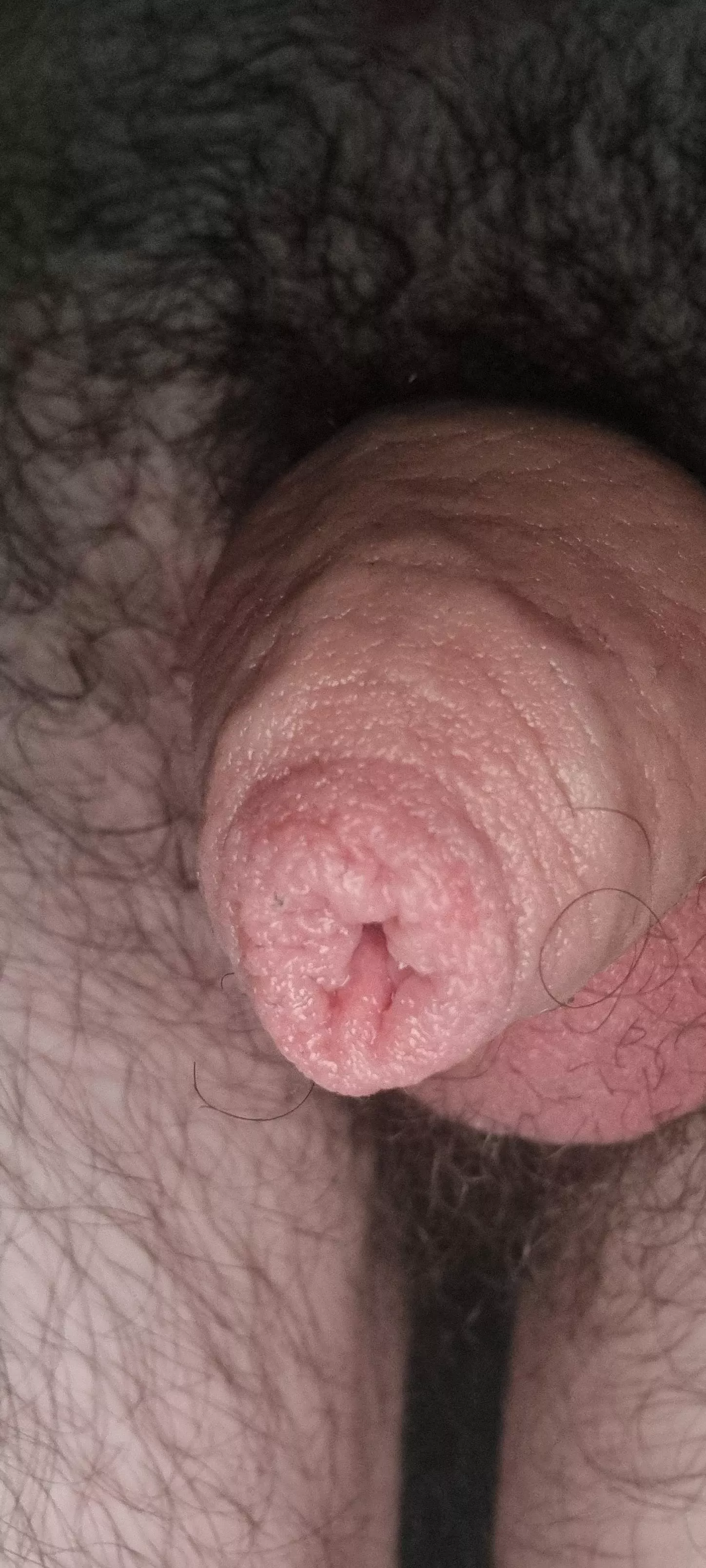 Looking for someone to spoil as he hardens