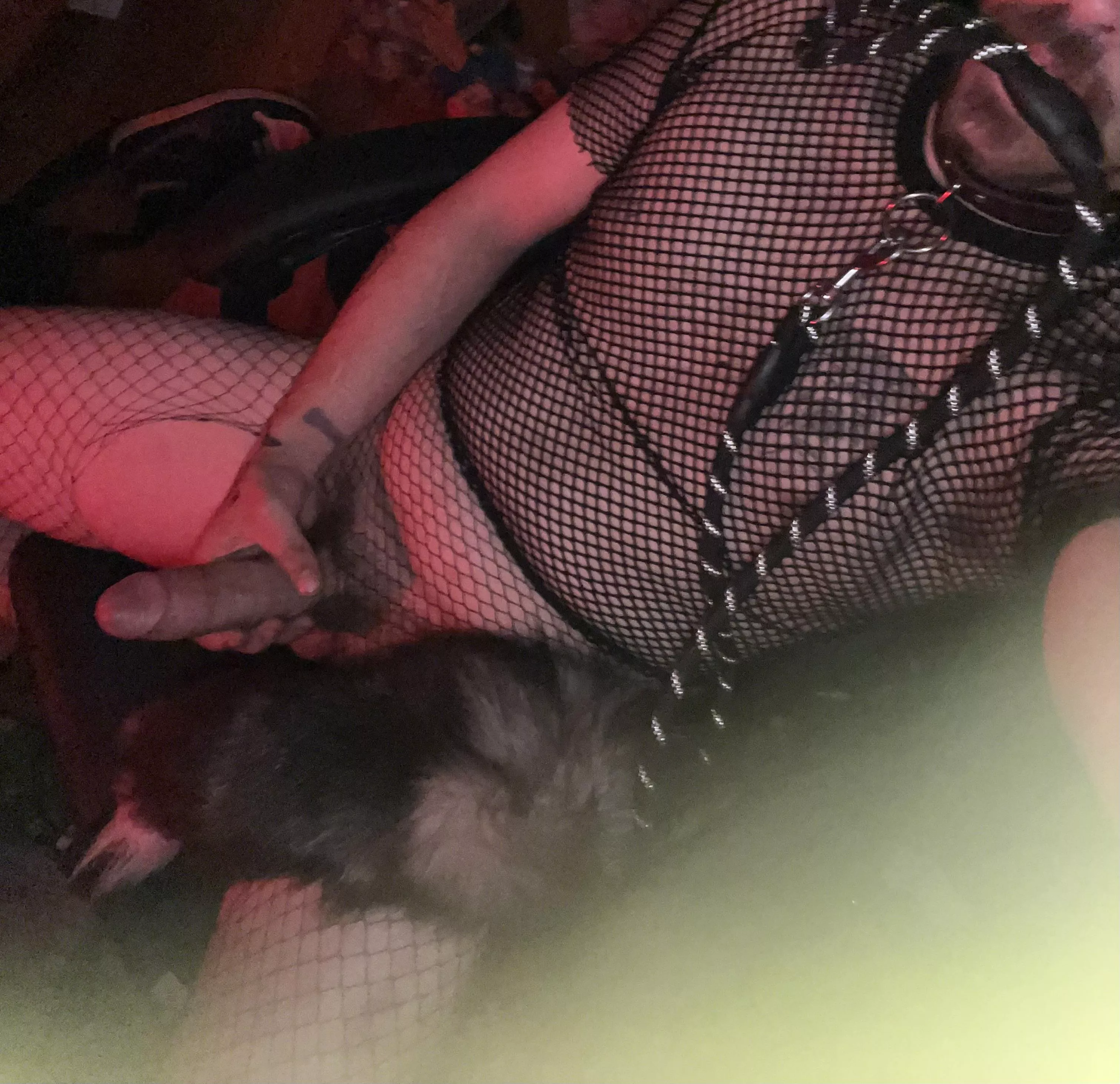 (Oc)casionally a cat boy