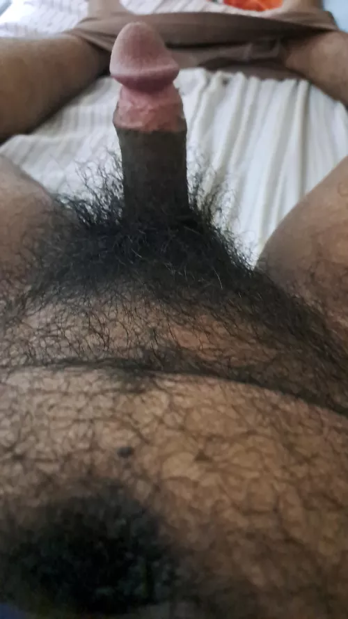 21 Asian. Hairy but Small Cock