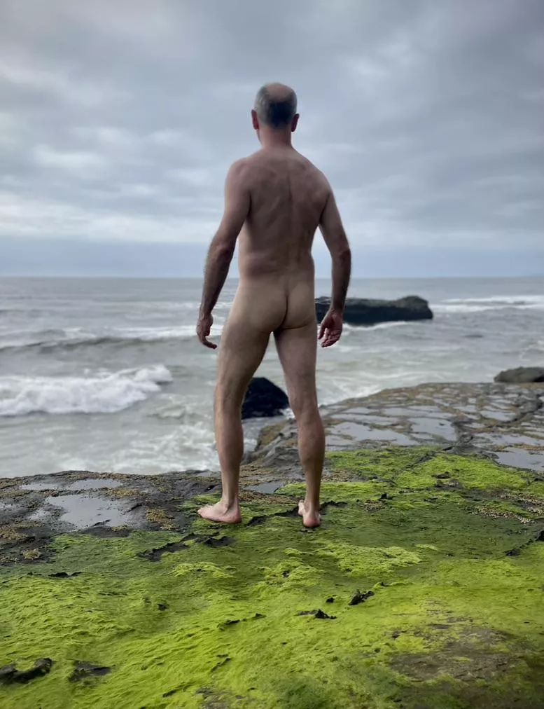 Cake Day on a green carpet