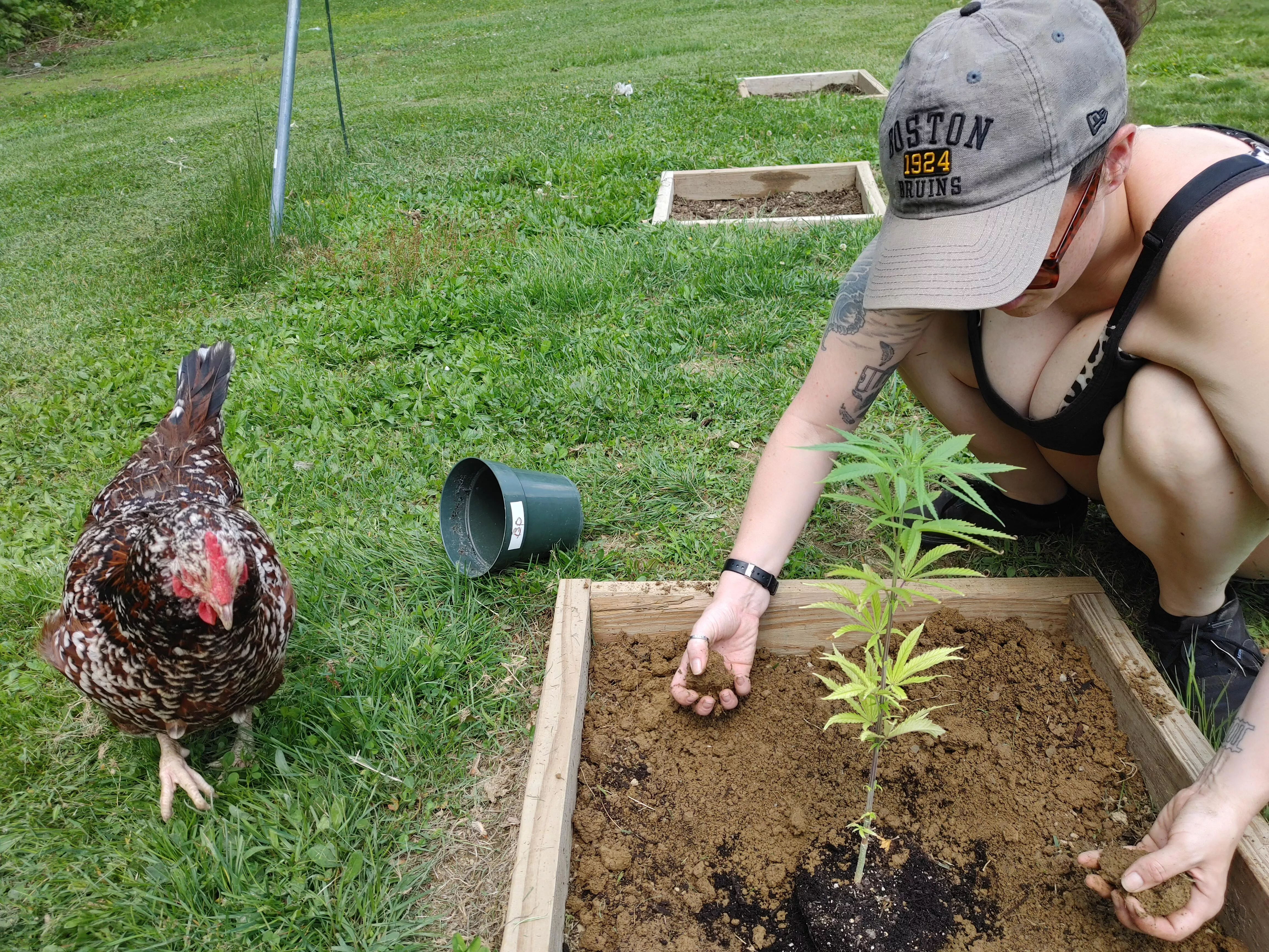 Chickens, plants and titties, what else you need?