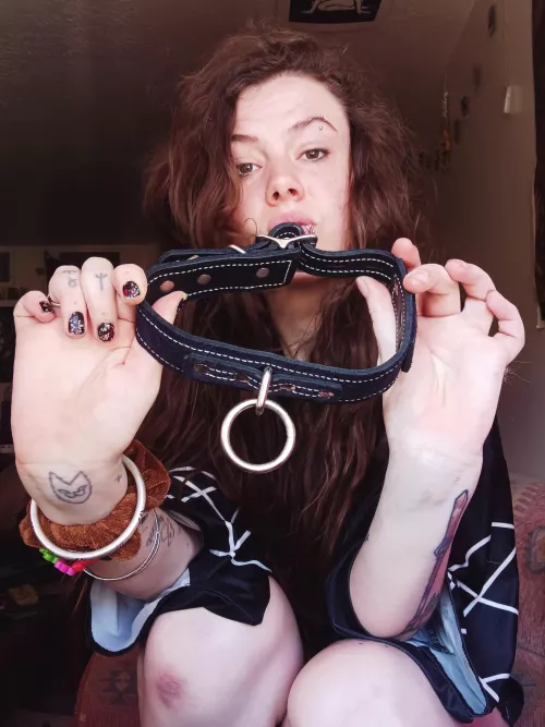 Do you have what it takes to be Daddy's obedient little mutt? 🐕‍🦺👿