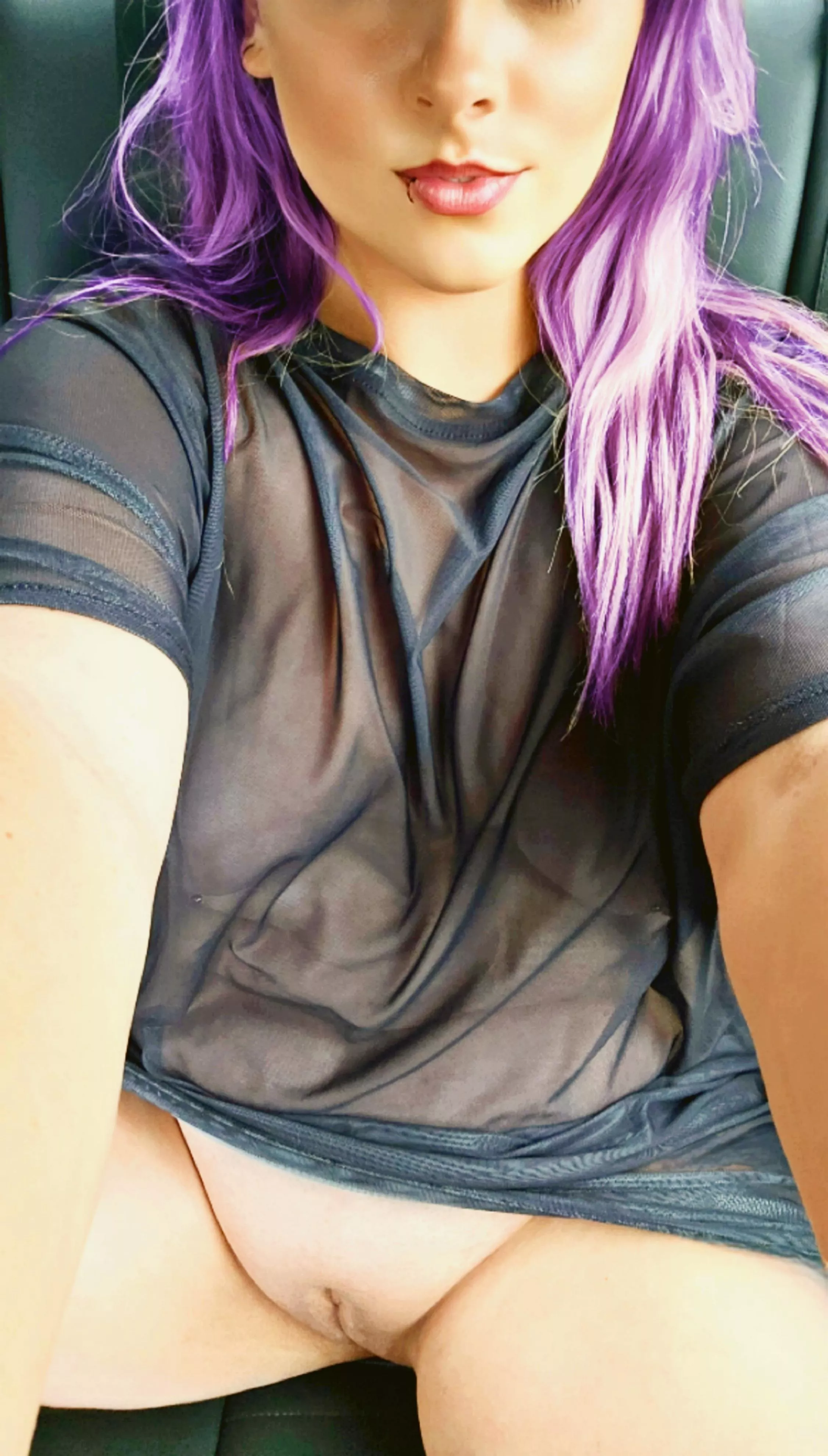 Going wild in my car