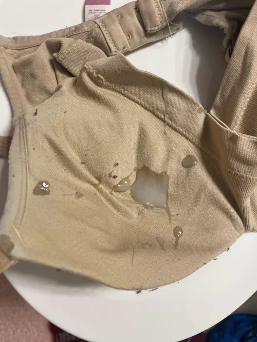 I’m back cumming on my sister bras