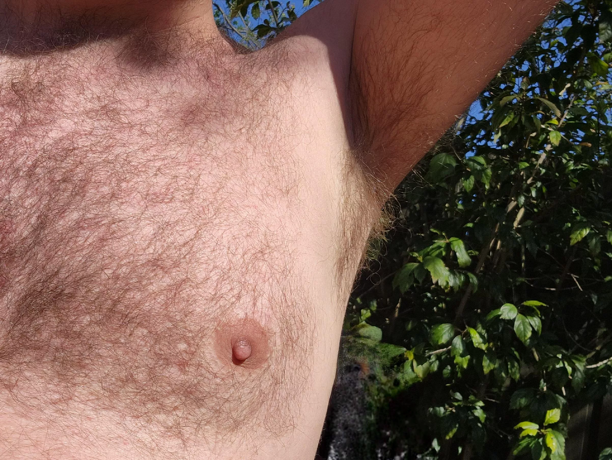 Nips, pits and sunshine. What more could you want?