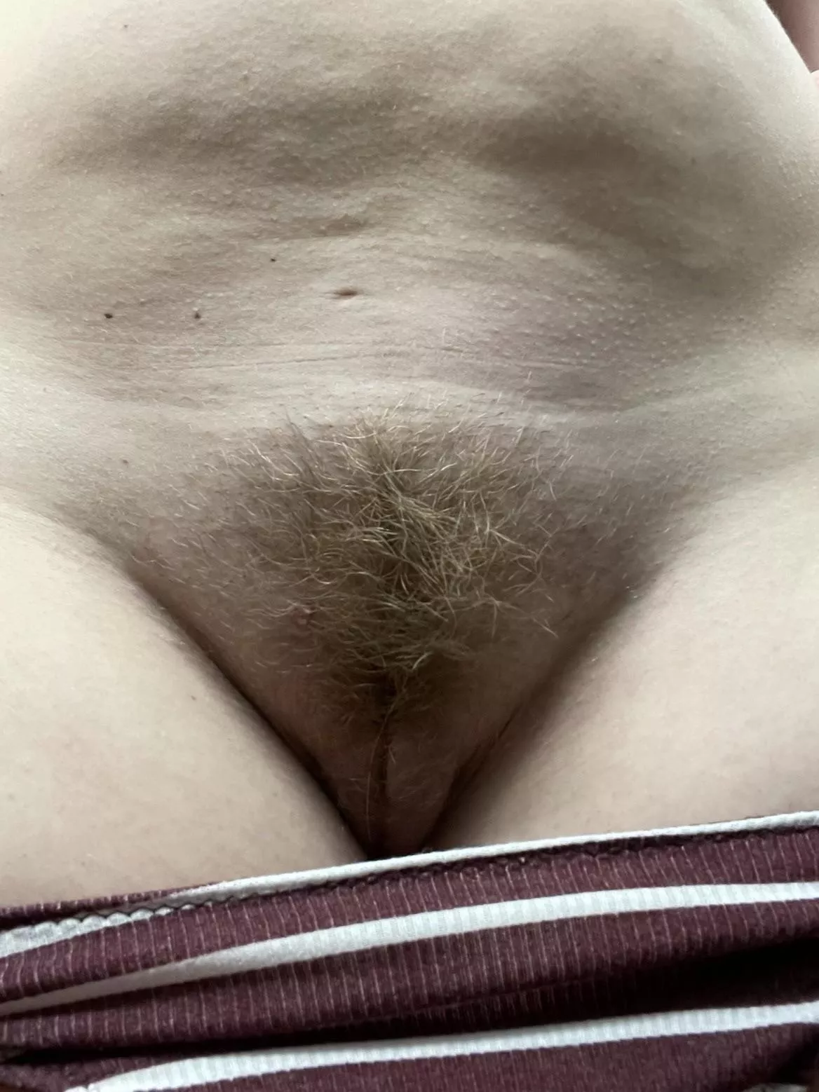 You’re looking at a nice mom bush!