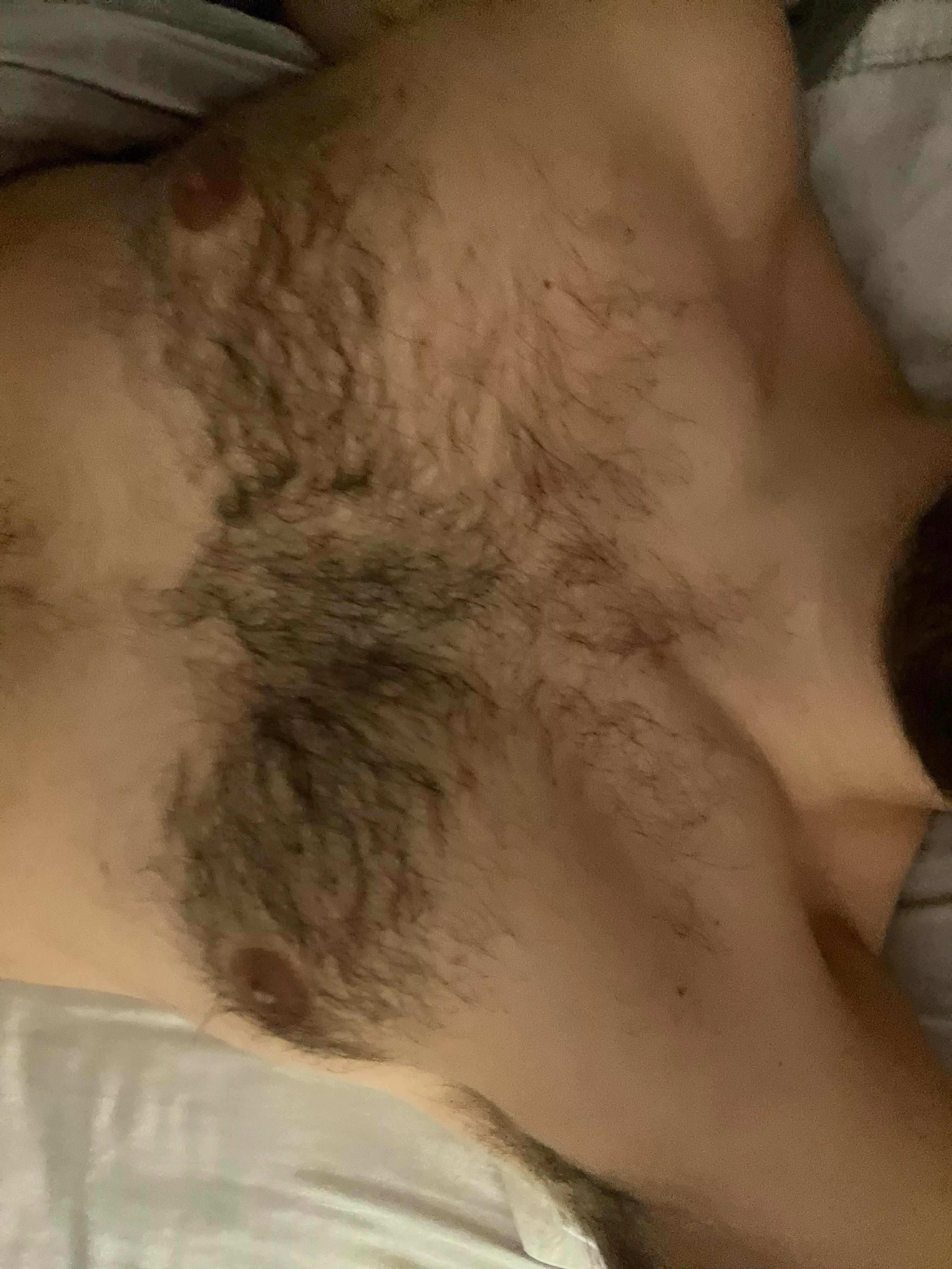 30. Hairy. Horny. White. Will trade face. Looking to cum. Equestrianman