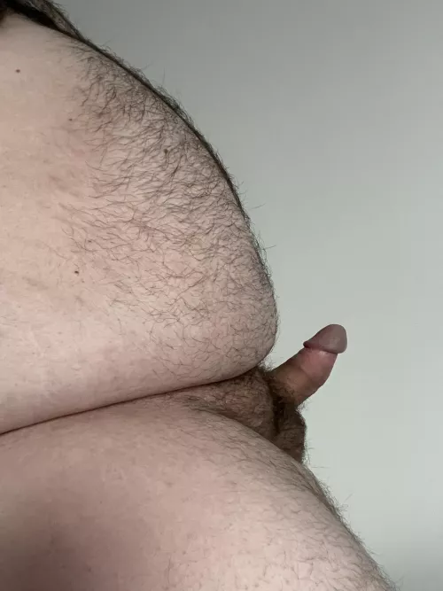 Any big belly fans? DMs are open