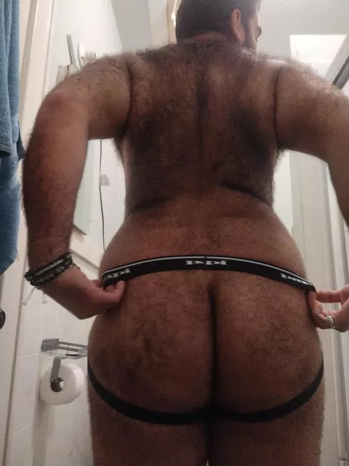 Bear in a jock (34)