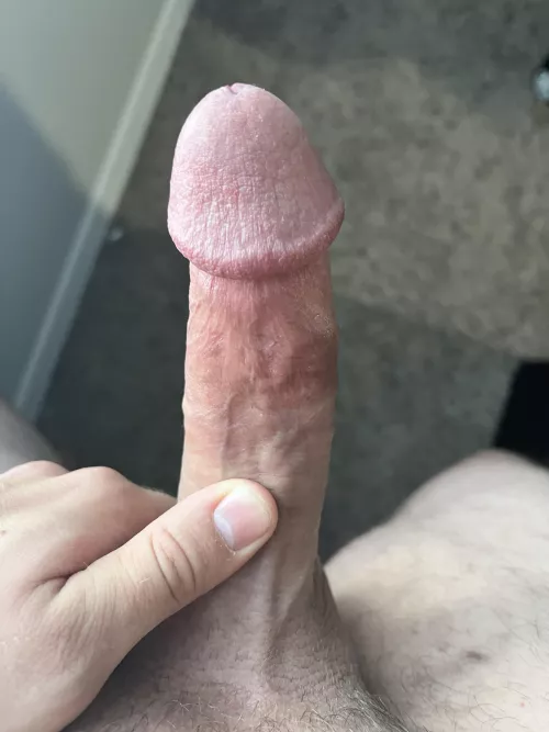 Happy to share for my cake day