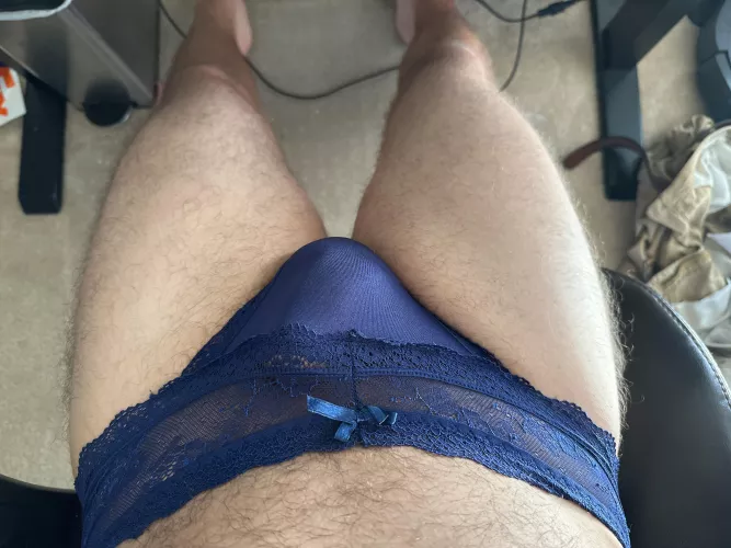 Love wearing my wife's panties when she's gone