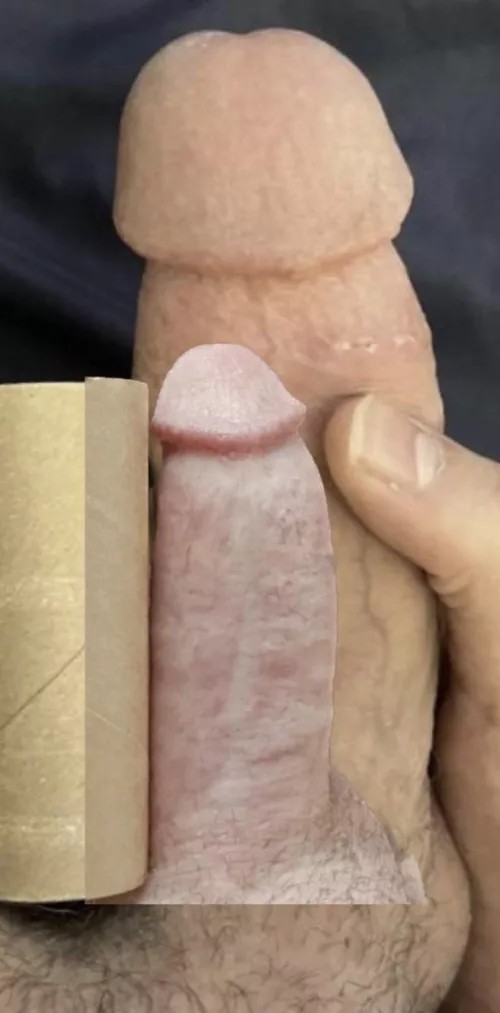 Overlay tp roll compare