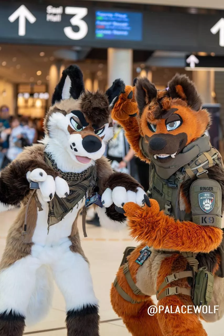 They on the hunt for cuties, and they spotted one 😏