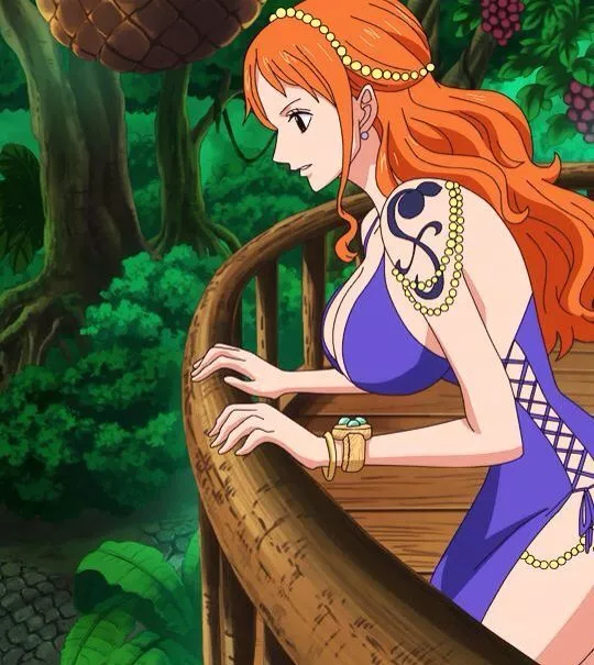 Who likes Pictures from the Anime of Nami ? 😁