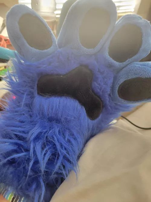 Yall I got paws!!