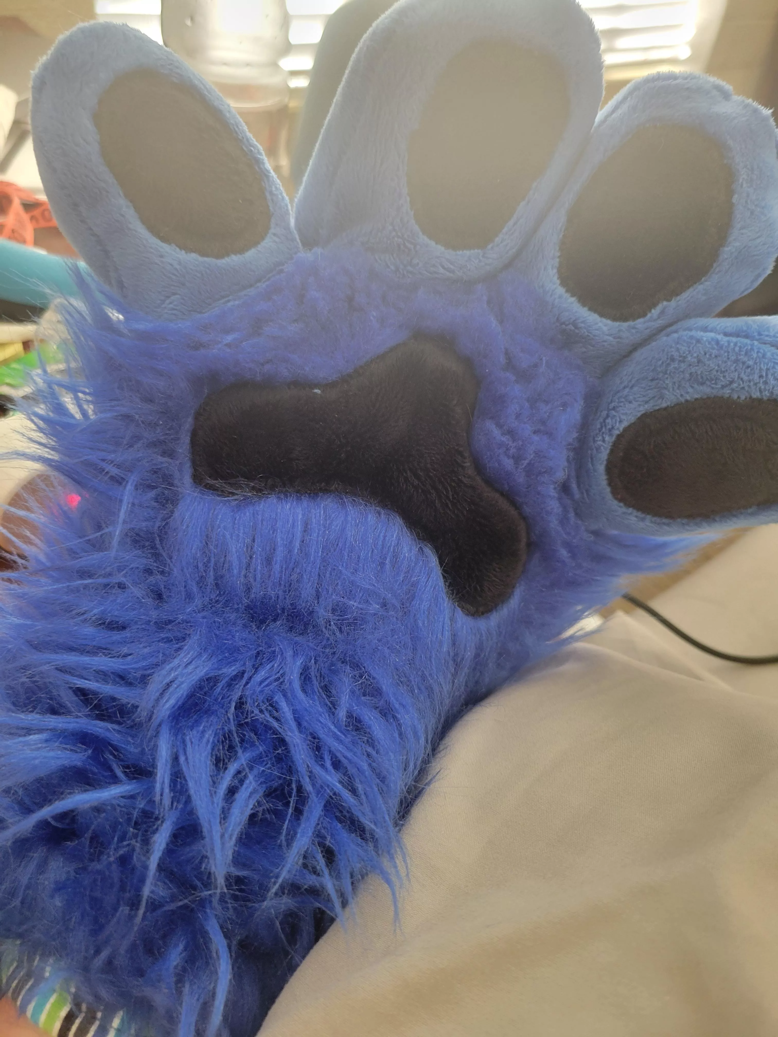 Yall I got paws!!