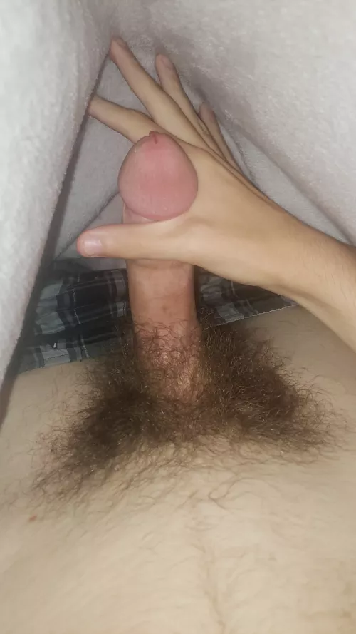 18m looking for guys my age to stroke with xdxd23718