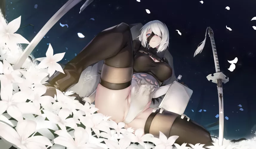 2B [Nier Automata]