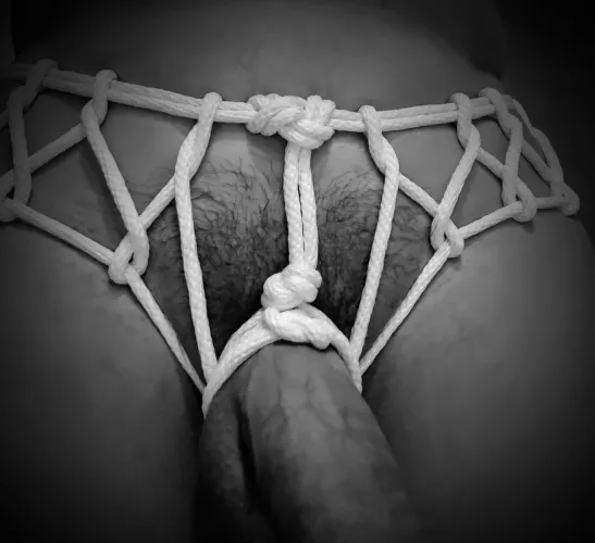 Drum Harness (M)