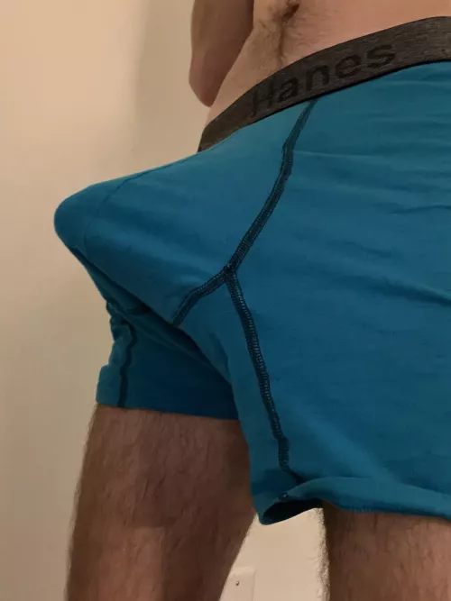 How big do you think I am lol