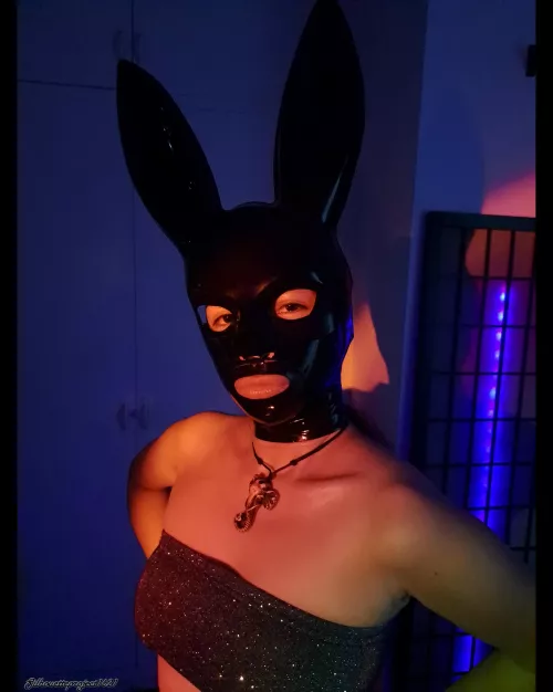 Like my new bunny mask? 🖤