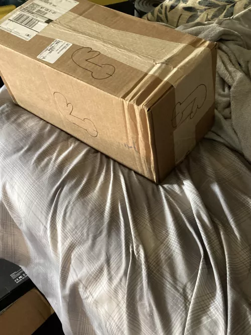 My BIL found my BD package