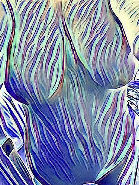 Photo cred: alexisable 😍