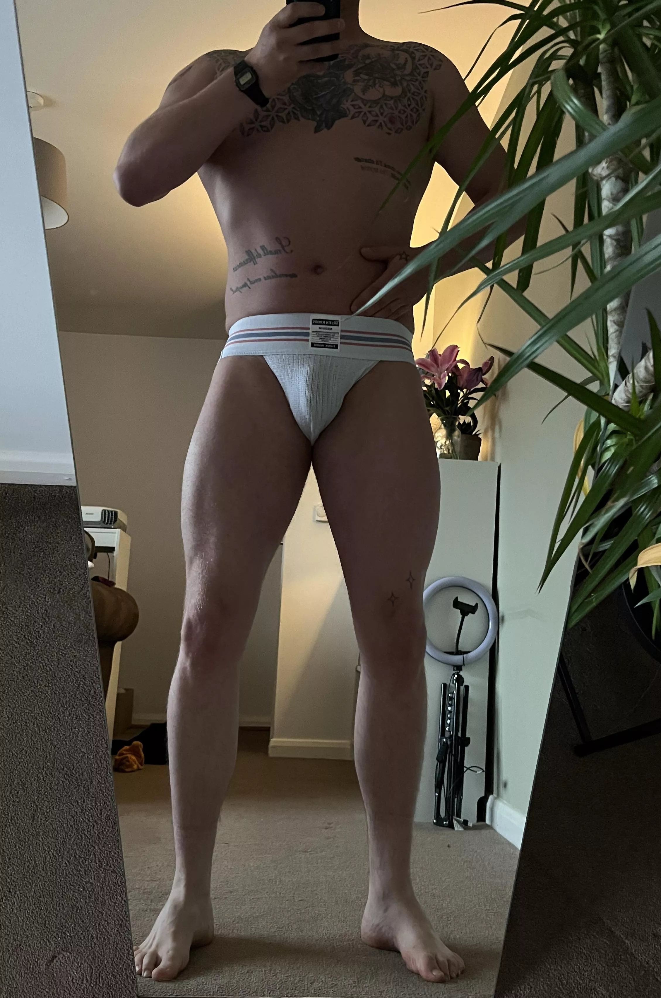 Thoughts on the chest piece?