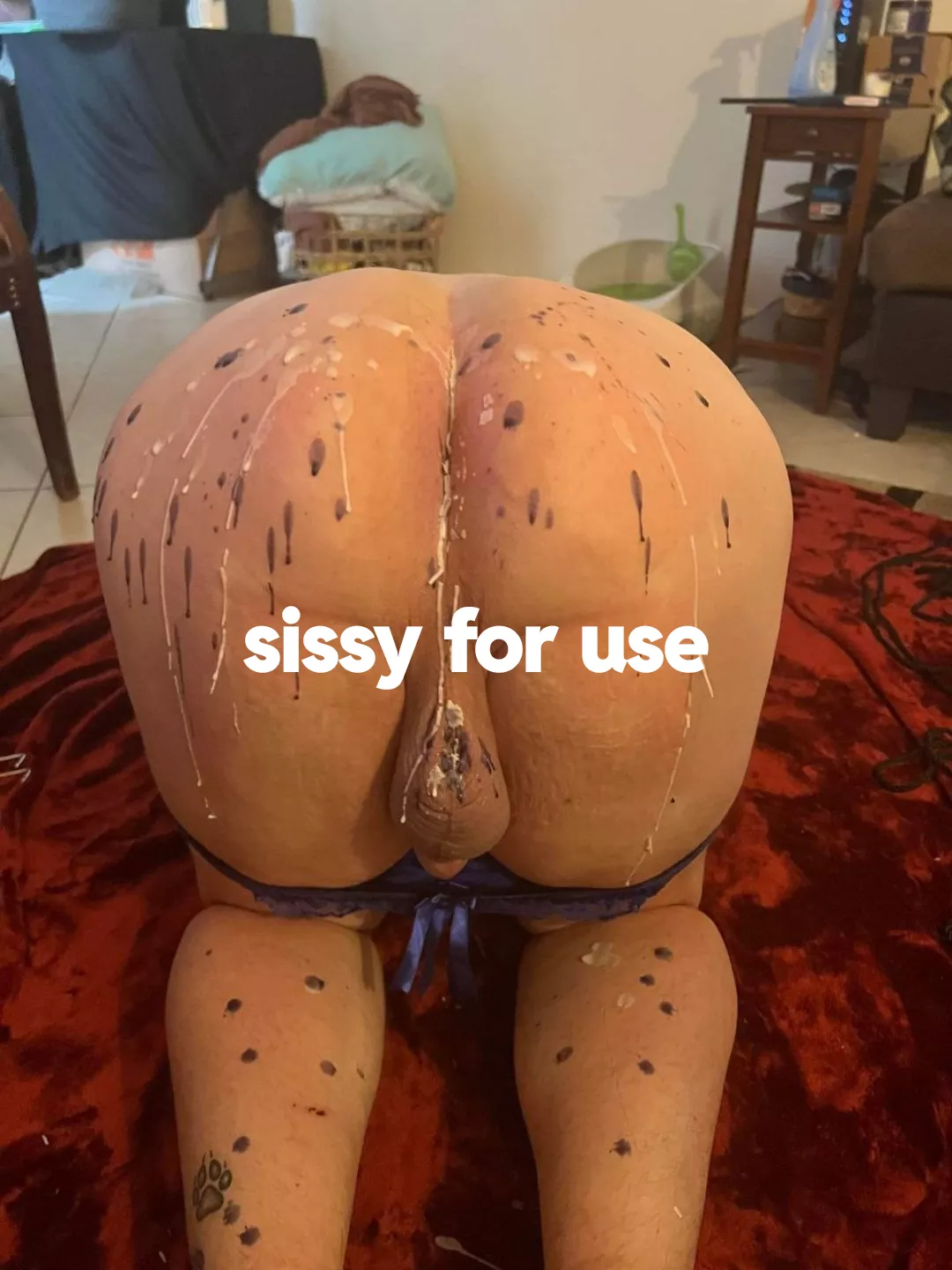 28 sissy puppy/cow