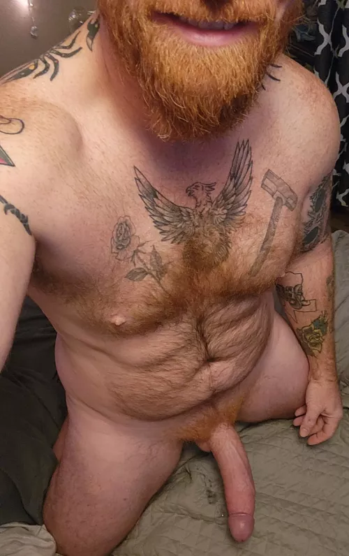 Are you gonna ride the beard or the boner first?