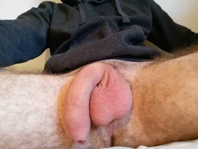 big, average, or small?