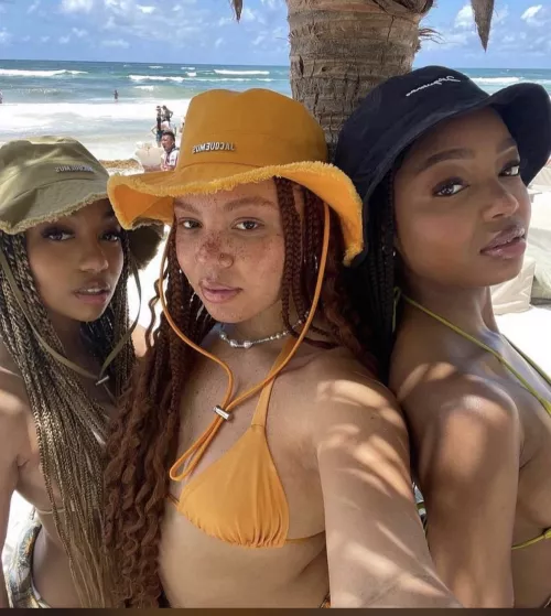 Brown shades in the shade