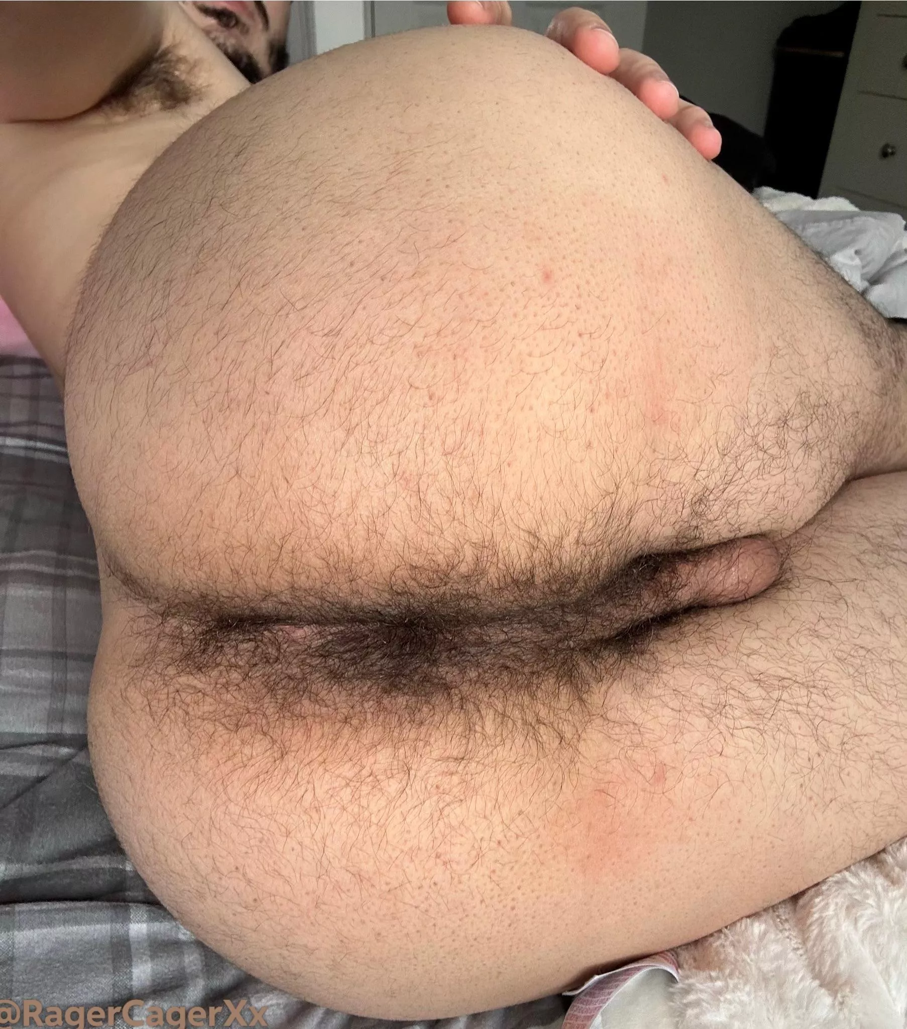 Have you missed my hairy crack? 🐽