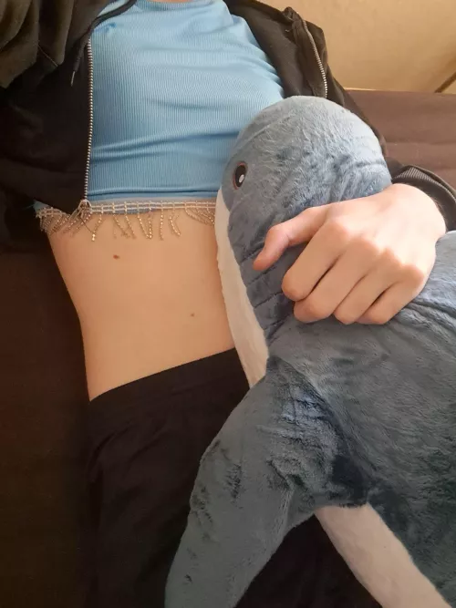 I have acquired the shark