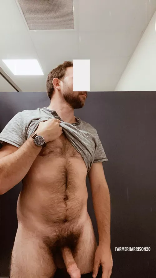 Letting my hairy cock breathe in a public restroom