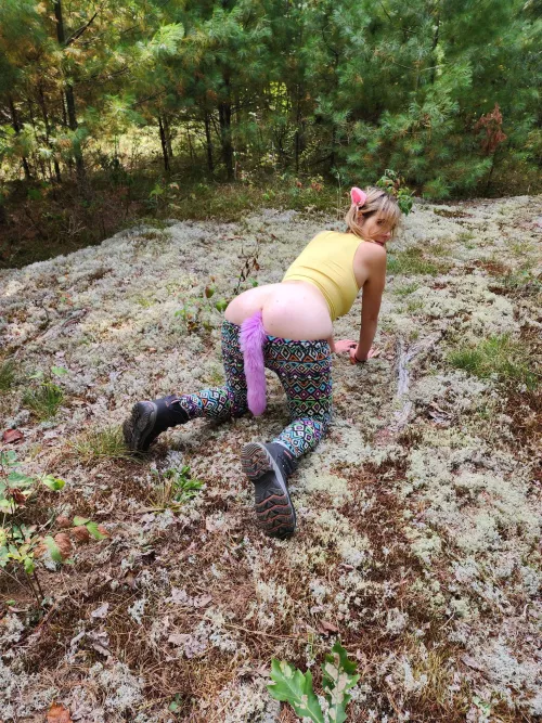 perfect position on all fours