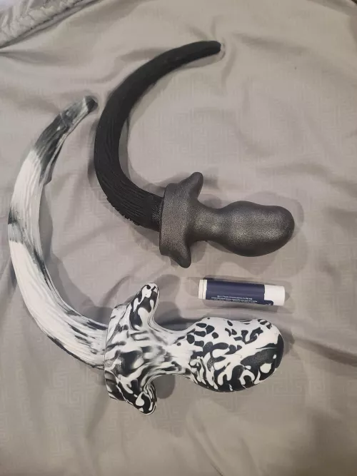 Puppy tails from oxballs make a big leap from small to medium