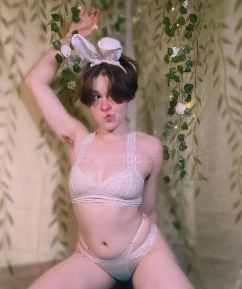 The fluffiest bunny around :P