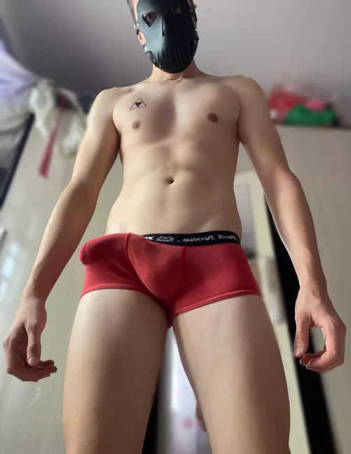 Would you let me breed you?