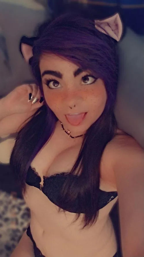 Are cat girls cute? (@DixonxCider) [OnlyFans]