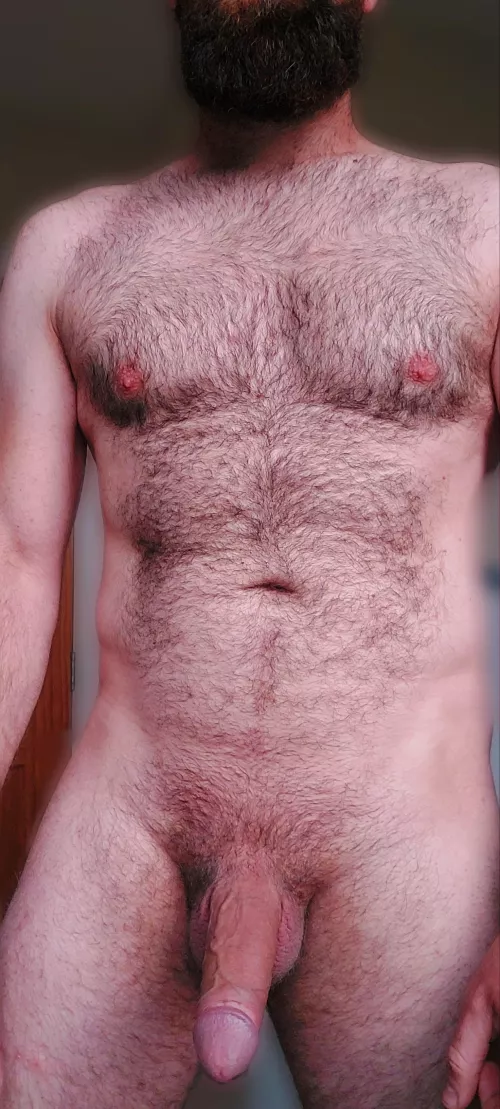 Does it look soft and inviting or coarse and rugged?