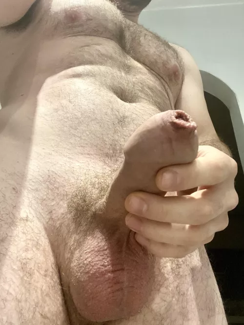 Does my foreskin look tasty?