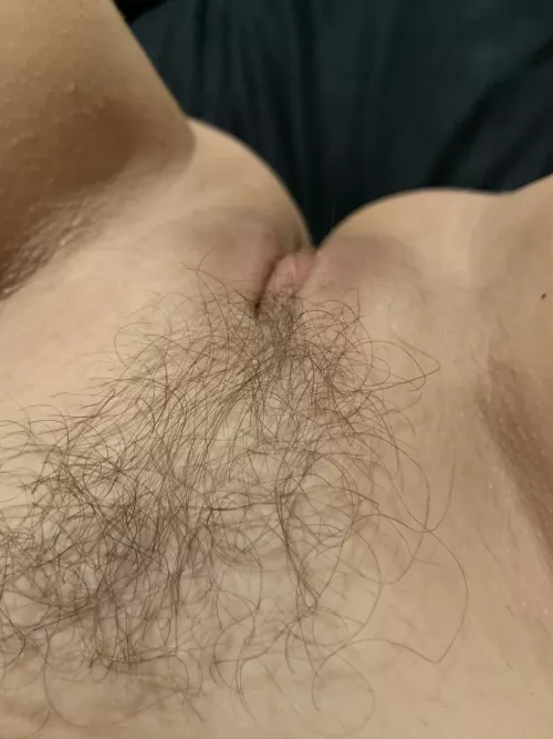 F32 Hairy and wet
