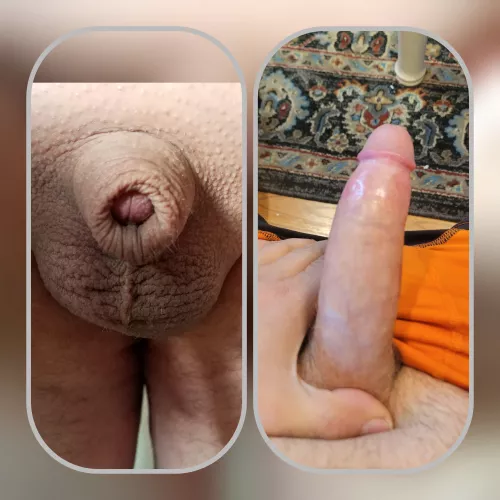 I am in the 1 percentile flaccid, and jump to the 99 percentile erect.